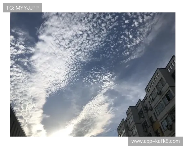 参与森林舞会的美妙体验，感受身心灵的愉悦与放松