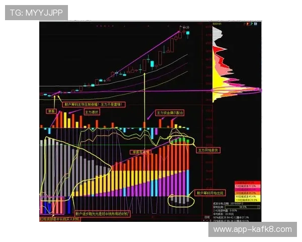 如何保证在AG国际在线官网上的个人信息与资金安全详解 如何保证在AG国际在线官网上的个人信息与资金安全详解