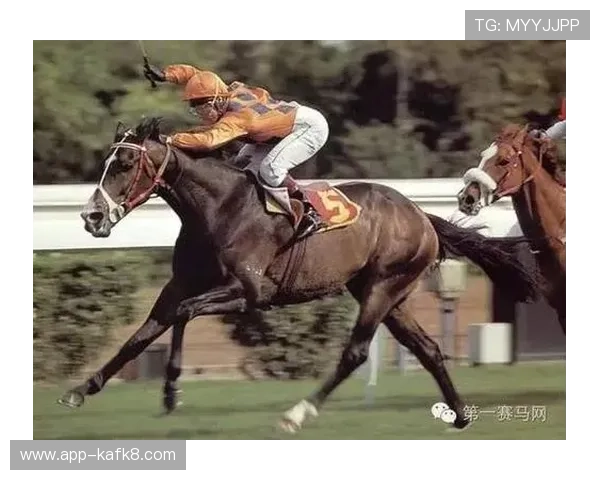 凯发娱乐手机版多样化的赛事活动与竞技玩法介绍